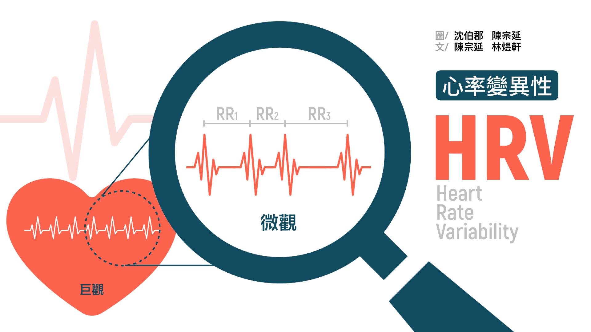 一般人如果沒有心率不整,心跳的速率乍看好像是固定的。但是,當我們在心電圖以毫秒(千分之一秒)為單位的視野下,每一次心跳的間距(RR interval)其實都有微小的起伏波動,這稱為心率變異(heart rate variability,HRV)。  HRV是因為加速的交感神經,和減速的副交感神經的放電頻率不同,兩種自律神經雖然讓心跳維持穩定,達成動態平衡;但微觀的角度下,會有微小的心率變異。因此可以用HRV量化自律神經的功能:HRV越大,表示自律神經功能越好。