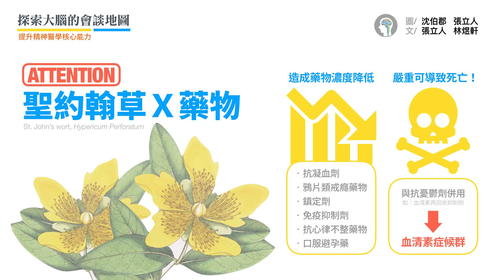 比起台灣，歐美民眾擁有更多抗憂鬱的策略，包含著名的抗憂鬱藥草——「聖約翰草」(St. John’s wort)，別名「貫葉連翹」、「金絲桃草」。  考科藍統合分析指出「聖約翰草」療效明顯優於安慰劑，和其他抗憂鬱劑類似，但副作用明顯較少。然而，若同時服用其他藥物，將降低其他藥物濃度，不可不慎！  特別是併用其他抗憂鬱劑，可能出現「血清素症候群」：因血清素活動異常升高，產生意識障礙、肌肉痙攣、反射過強、眼球震顫、心跳加速、高血壓、嘔吐、腹瀉等，嚴重可導致死亡。  Reference: 1. Cochrane Database Syst Rev. 2008(4):CD000448 2. 張立人，《大腦營養學全書》第 16 章，〈改善大腦症狀最常見的藥草〉